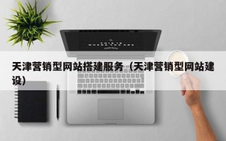 日照天津营销型网站搭建服务（天津营销型网站建设）
